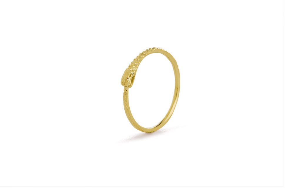 Ouroboros ring - 14 ct gold thin snake